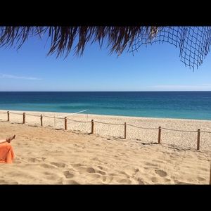 Meet your Posher, Dedebbie